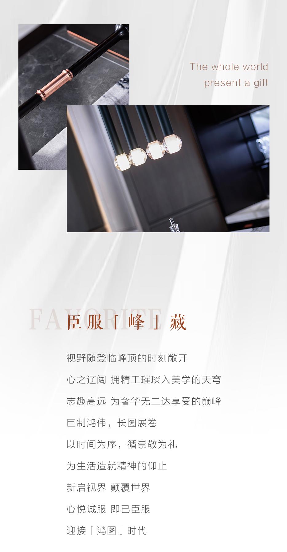 怀享揽众多珍藏  瞻仰为「鸿猷」争藏